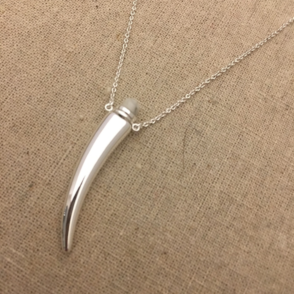 Stella & Dot Delicate Horn Necklace - Silver